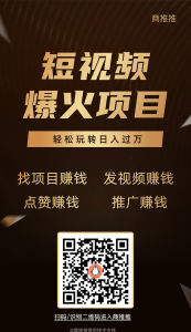 商推推，简单发视频，项目介绍清晰-首码项目网