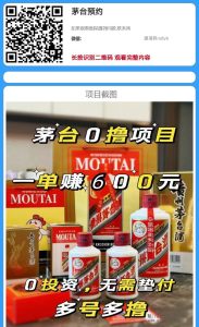 ai自媒体代运营，正规长久-首码项目网