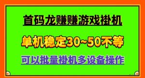 龙赚赚，炫酷的智能小游戏自动掘金-首码项目网