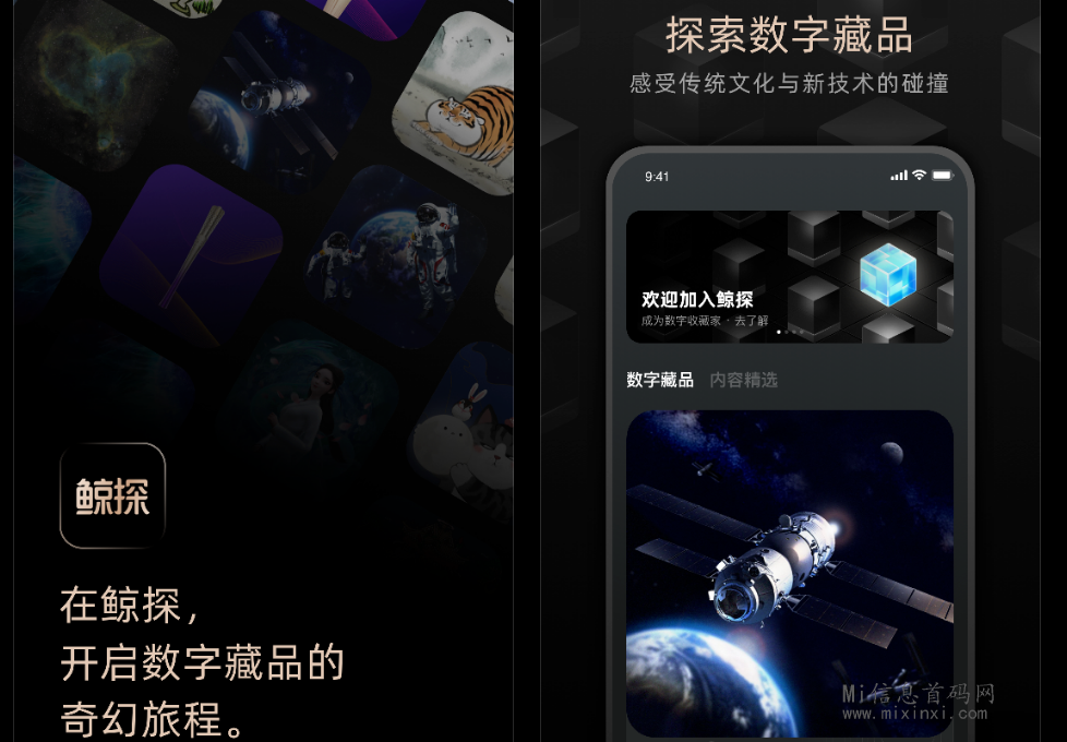 请欣赏精美的鲸探数字藏品-首码项目网