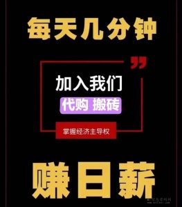 海淘精选，2024一战上岸-首码项目网