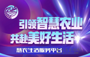 慧农生活预计3.28,首码预热排线,兜底三星大区、-首码项目网