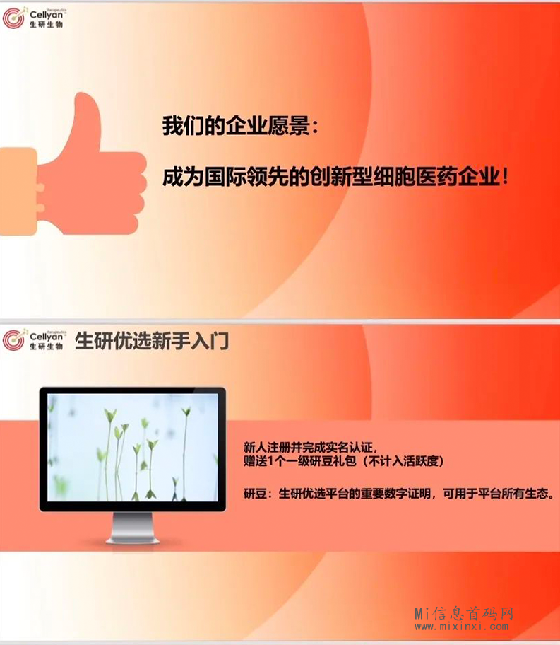 202403175065605606506