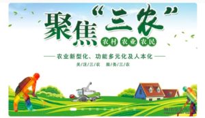 首码《生态三农》产业联盟,以下是相关的操作步骤-首码项目网