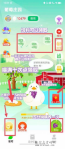 葡庄萄‬园：一个赚米的养鸭项目-首码项目网