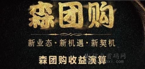 森团购：采用公正清晰的分配，30日正式上线，抢占先机！-首码项目网