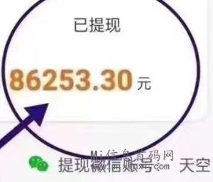 首码流光短剧-首码项目网