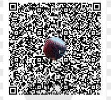 92E3106E5FC6E89561C82152826E6214