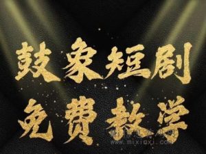 海外短剧,鼓象短剧,不要错过目前知道的人还少做第一批吃肉,免费安排级别-首码项目网
