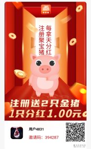 聚宝猪注册,即享双重机制,开启流程之旅-首码项目网