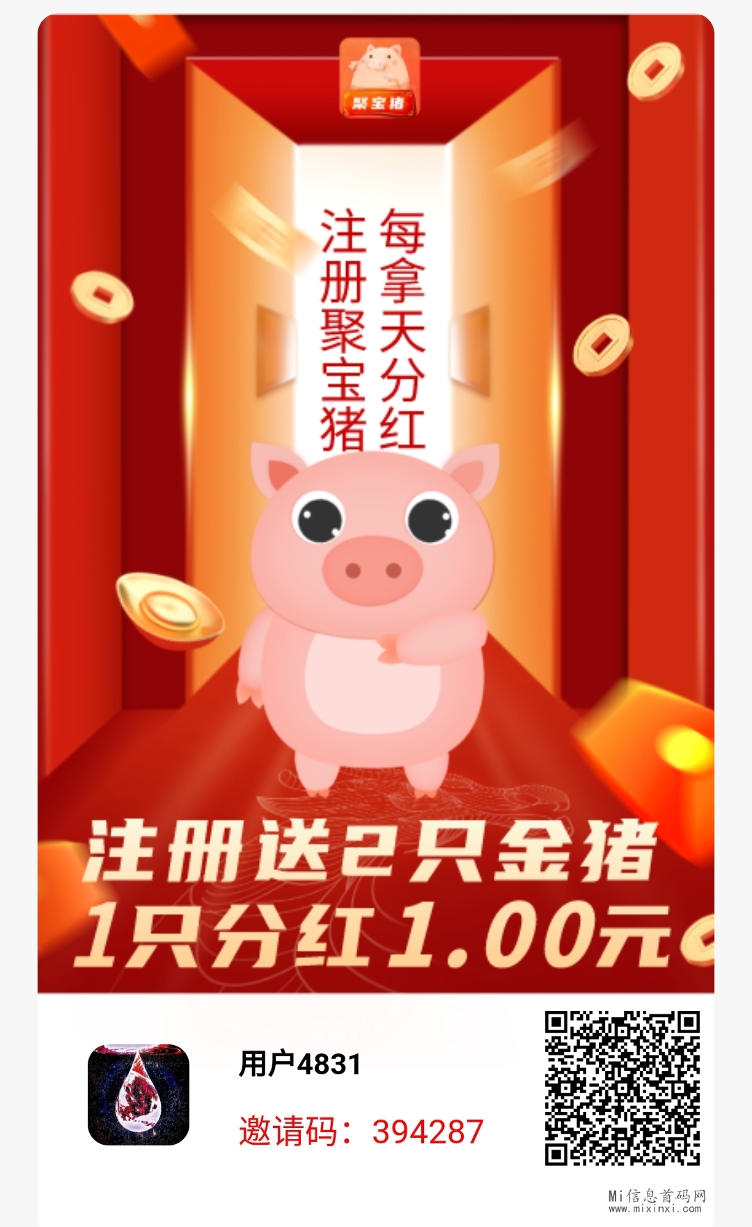 聚宝猪注册，即享双重机制，开启流程之旅-首码项目网