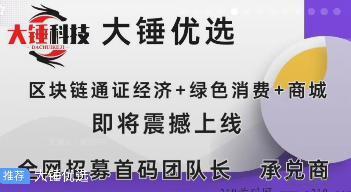 大锤优选2024年最大的黑马项目，高待遇，带领50位团队长年赚百万，日赚万圆不是梦。-首码项目网