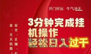 图片[1]-派乐星，适合忙碌的你，无需担心时间不足-首码项目网