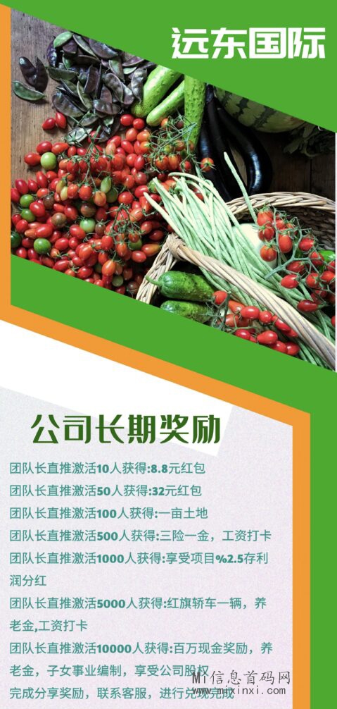 首码！重磅消息！远东农业项目，每日签到！全球农作物资产配置天然优势-首码项目网