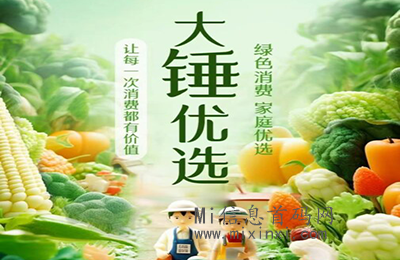 大锤优选，创新的玩法和卷轴机制，扶持对接-首码项目网