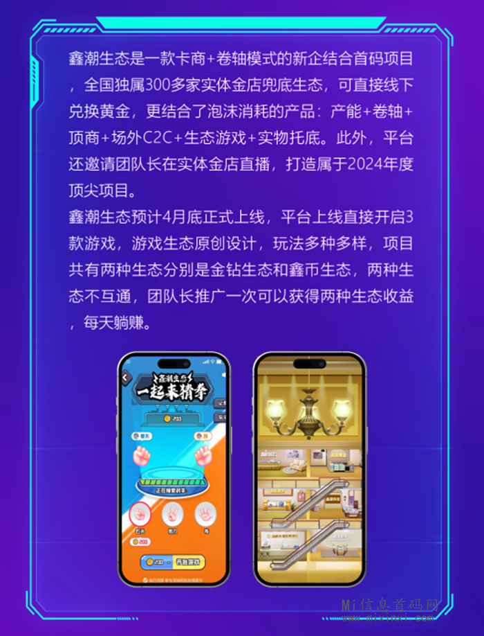 20240420666065060