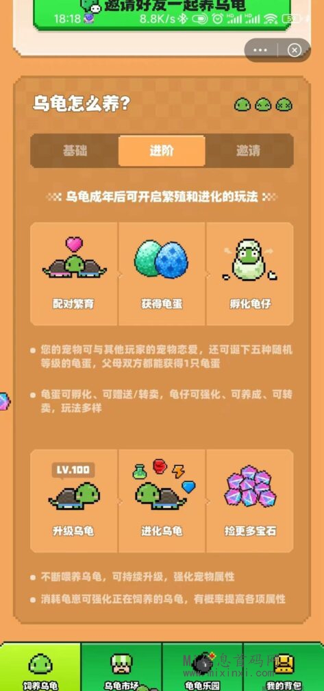 图片[3]-蜂群联盟潮玩宇宙，方块兽（乌龟组件）最新项目预热中，重新锁粉！-首码项目网