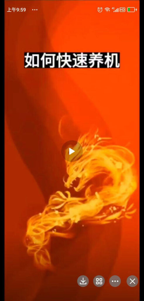 20240426260565065605