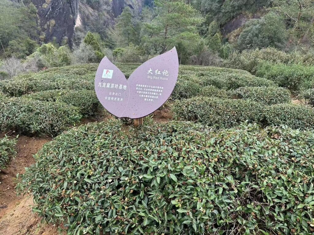 微信图片_202404241316541