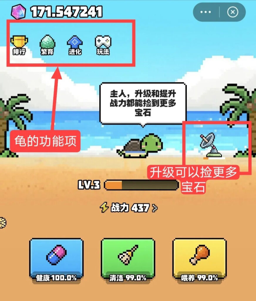 方块兽乌龟上线啦,开始全民养乌龟,这个乌龟玩法确实有趣-首码项目网