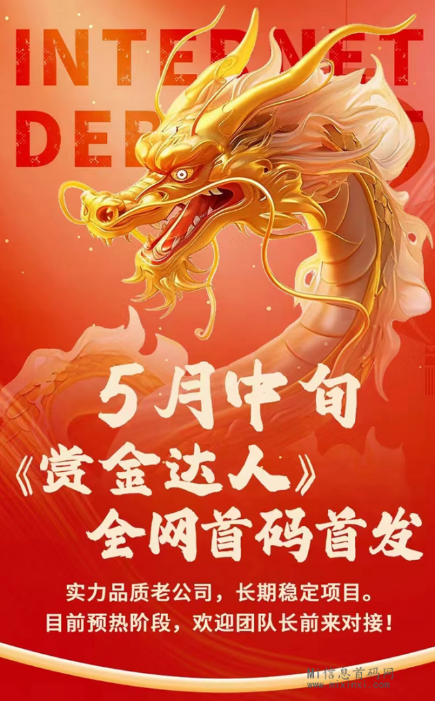 赏金联盟首发上线,可自己为玩,团队,上车吃肉-首码项目网