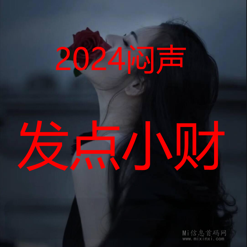 互联网副业，让宝妈大学生上班族都赚米-首码项目网
