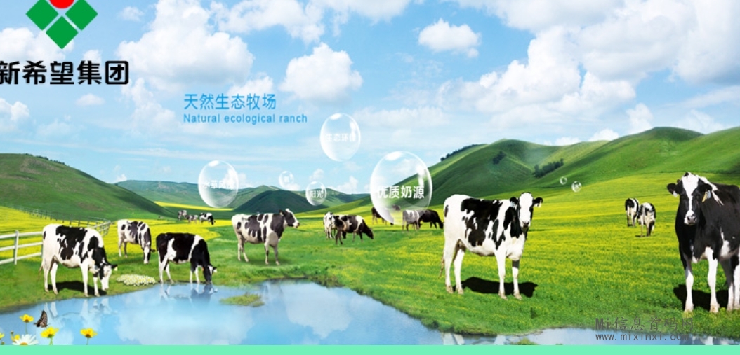 新希望农场刚出，零食加工厂-首码项目网