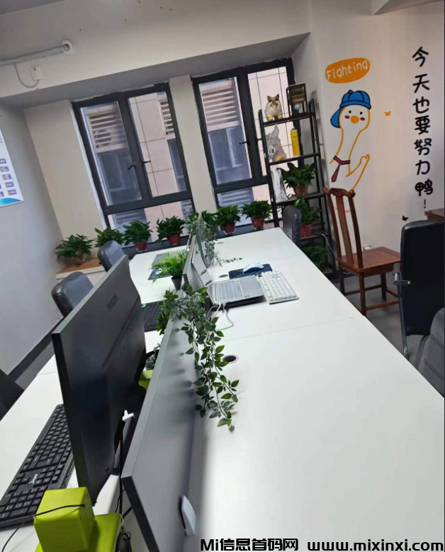 淘游生活是什么？为何这么火爆！一篇文章带你了解-首码项目网