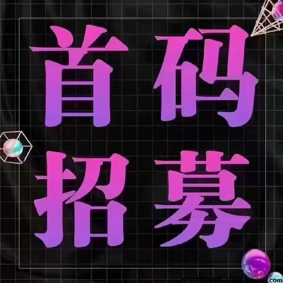 韶华首码预热，模式和尚玩助手一样，加入团长轻松赚米-首码项目网