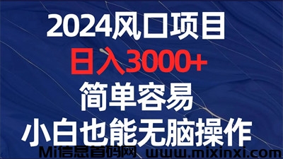 乐游坊，年终热门掘金新宠，稳健高效，日入2000+-首码项目网