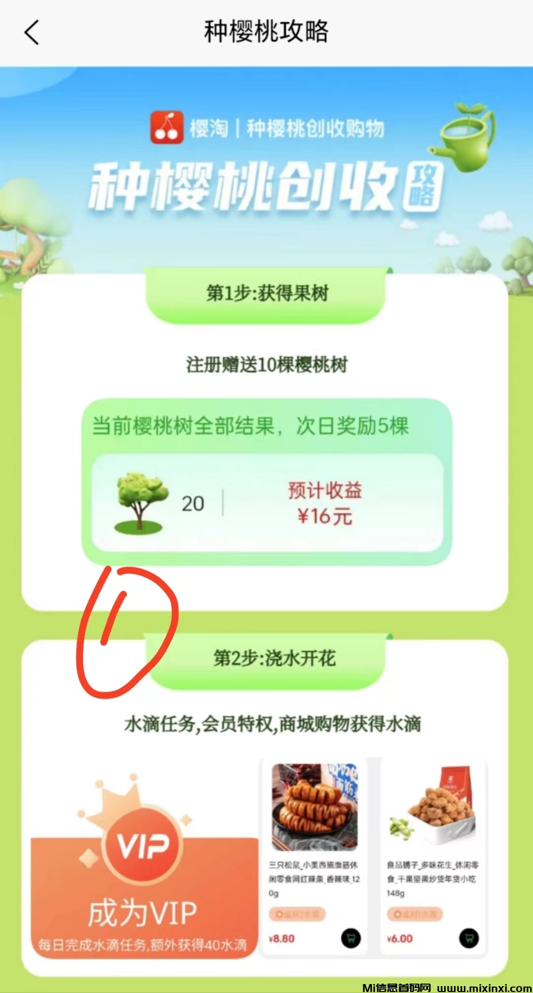 樱淘生活上线：种樱桃赚收益，惊喜不断-首码项目网