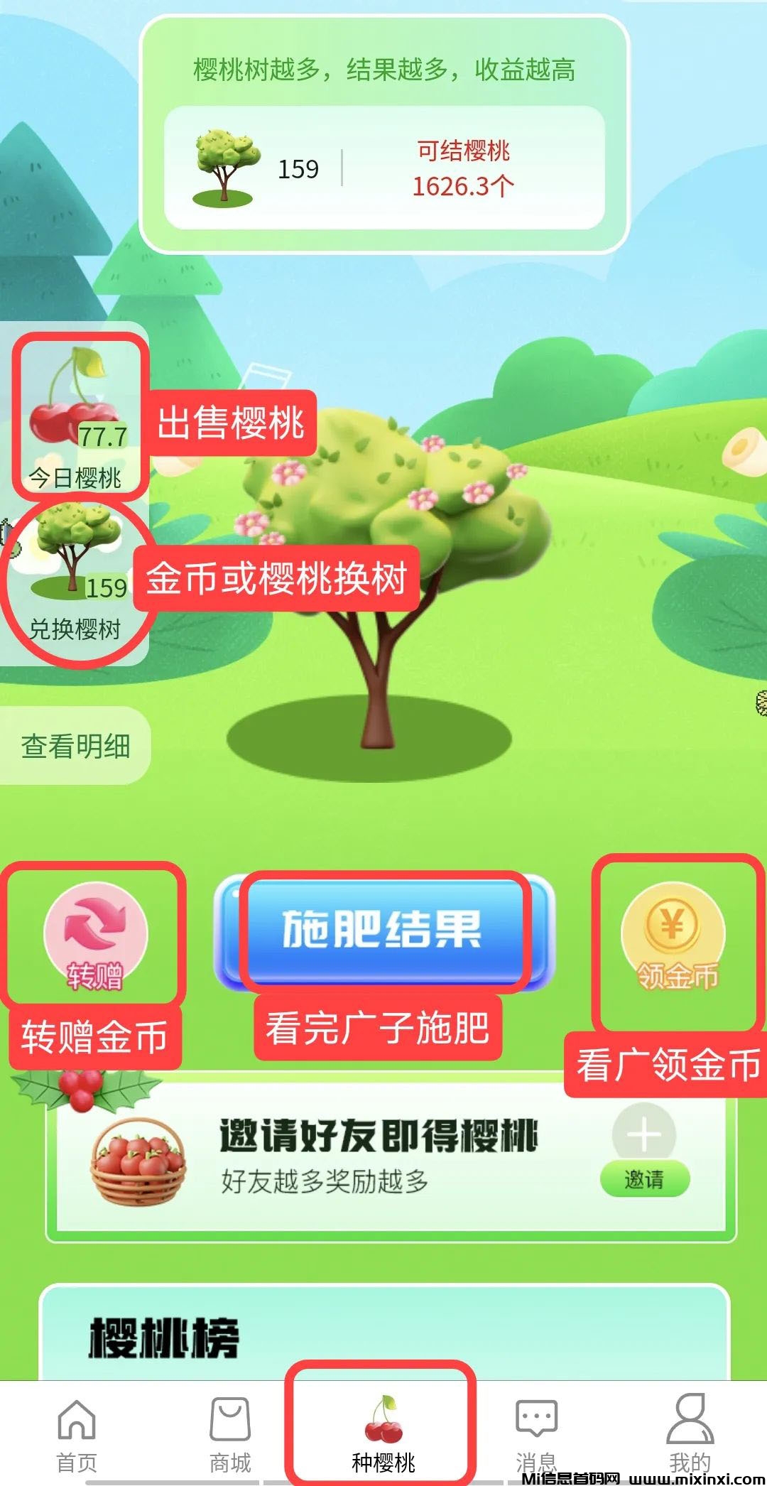 樱淘生活：八月新篇，稳定零撸项目-首码项目网