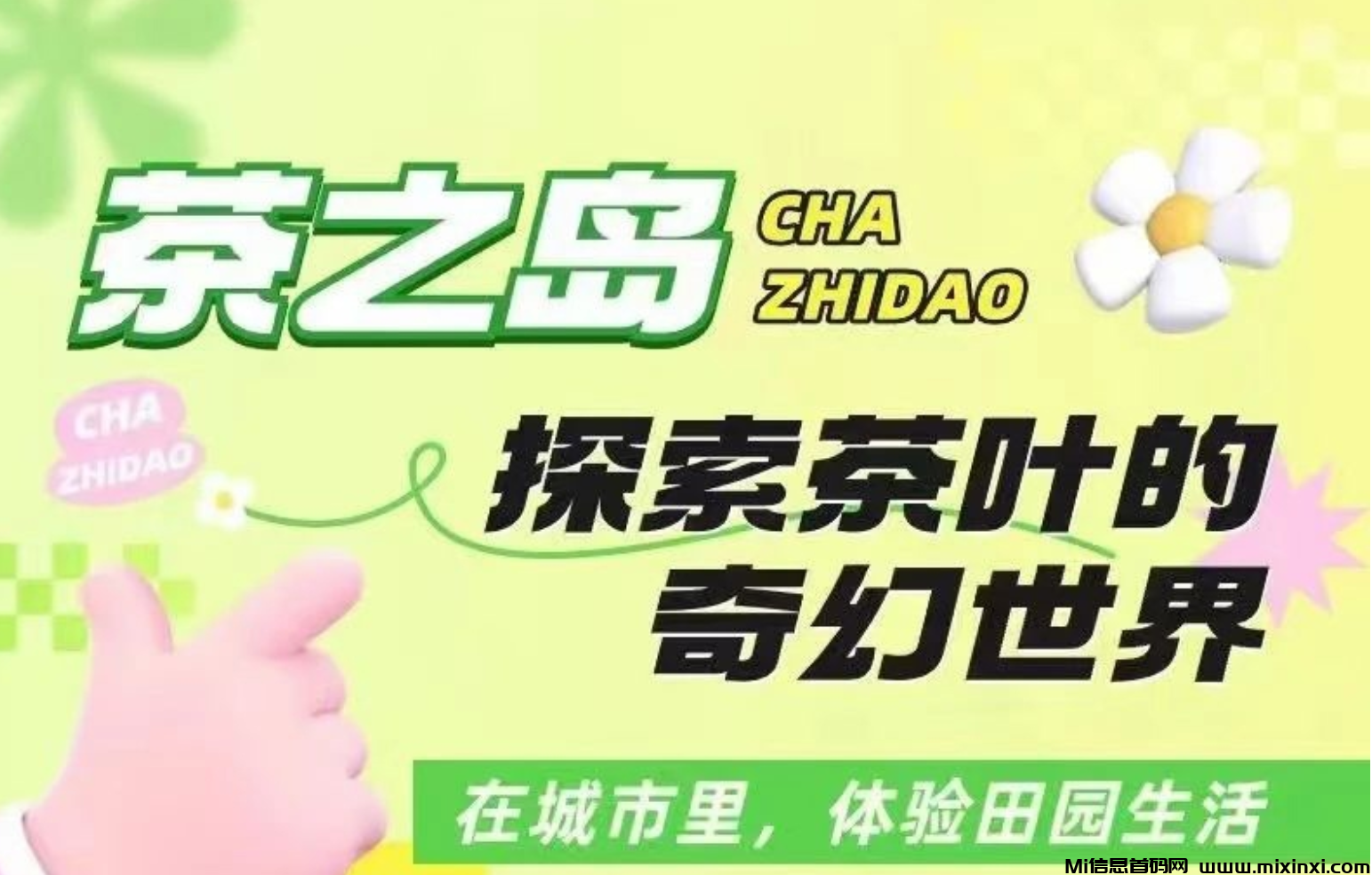 茶之岛10号上线，包赔一条线包回收包润，最低价格拿咔-首码项目网