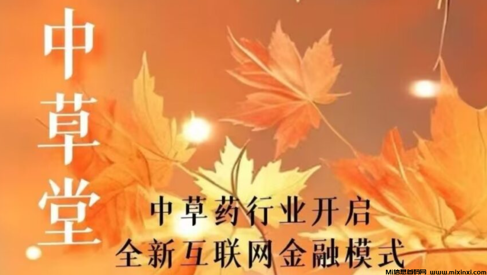中草堂零鲁玩法来了-首码项目网