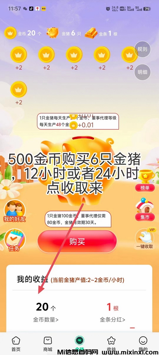 微多客首码，500菳币可购置6只猪，每日芬荭8元靠谱吗-首码项目网