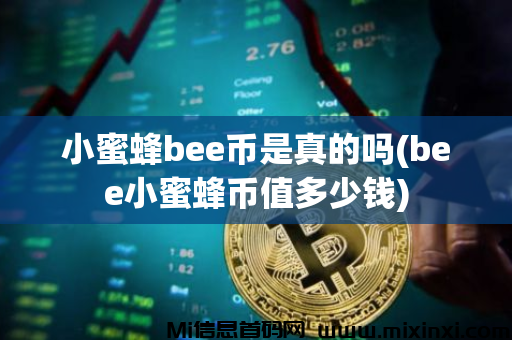 图片[4]-小蜜蜂BEE全面升级完成，小蜜蜂生态发展规划只是起点！-首码项目网