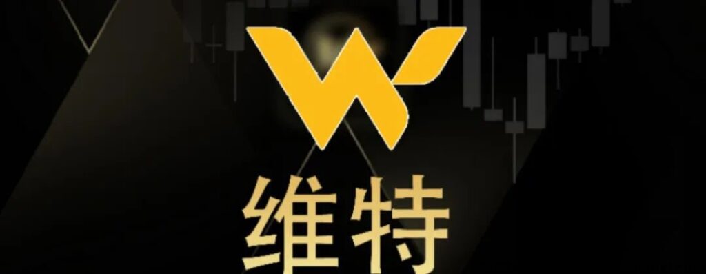 维特全程零撸,不搞套路,到底能不能成功-首码项目网