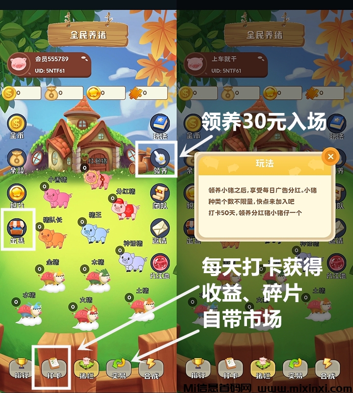 全民养猪《每日打卡享分红》一起来领养-首码项目网