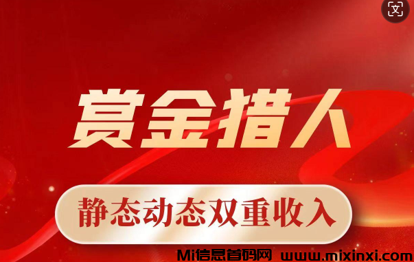 赏金猎人，革新玩法，对接第一批团长！-首码项目网