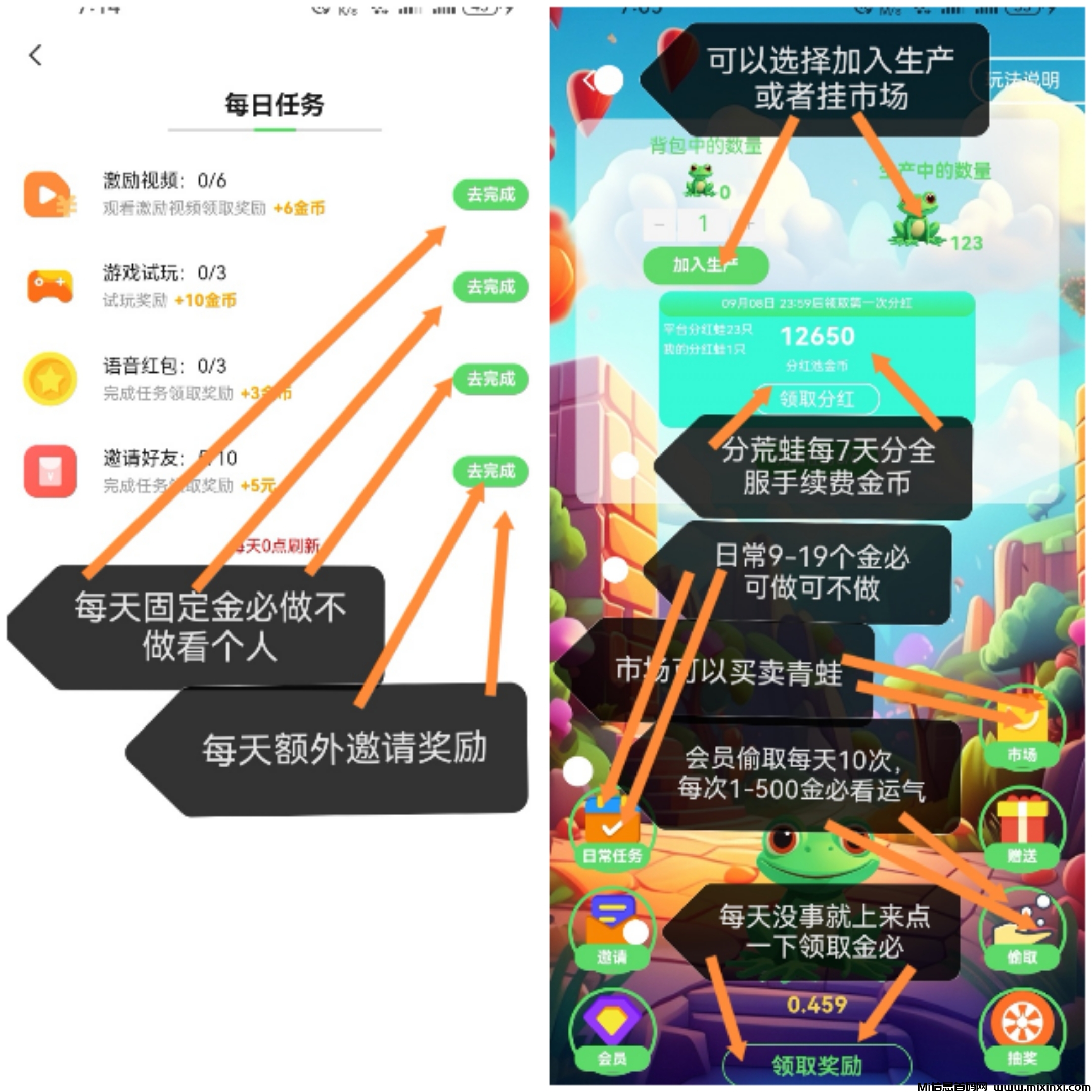 有蛙生活9月1号上线零鲁每天几十米，早上车早吃肉-首码项目网