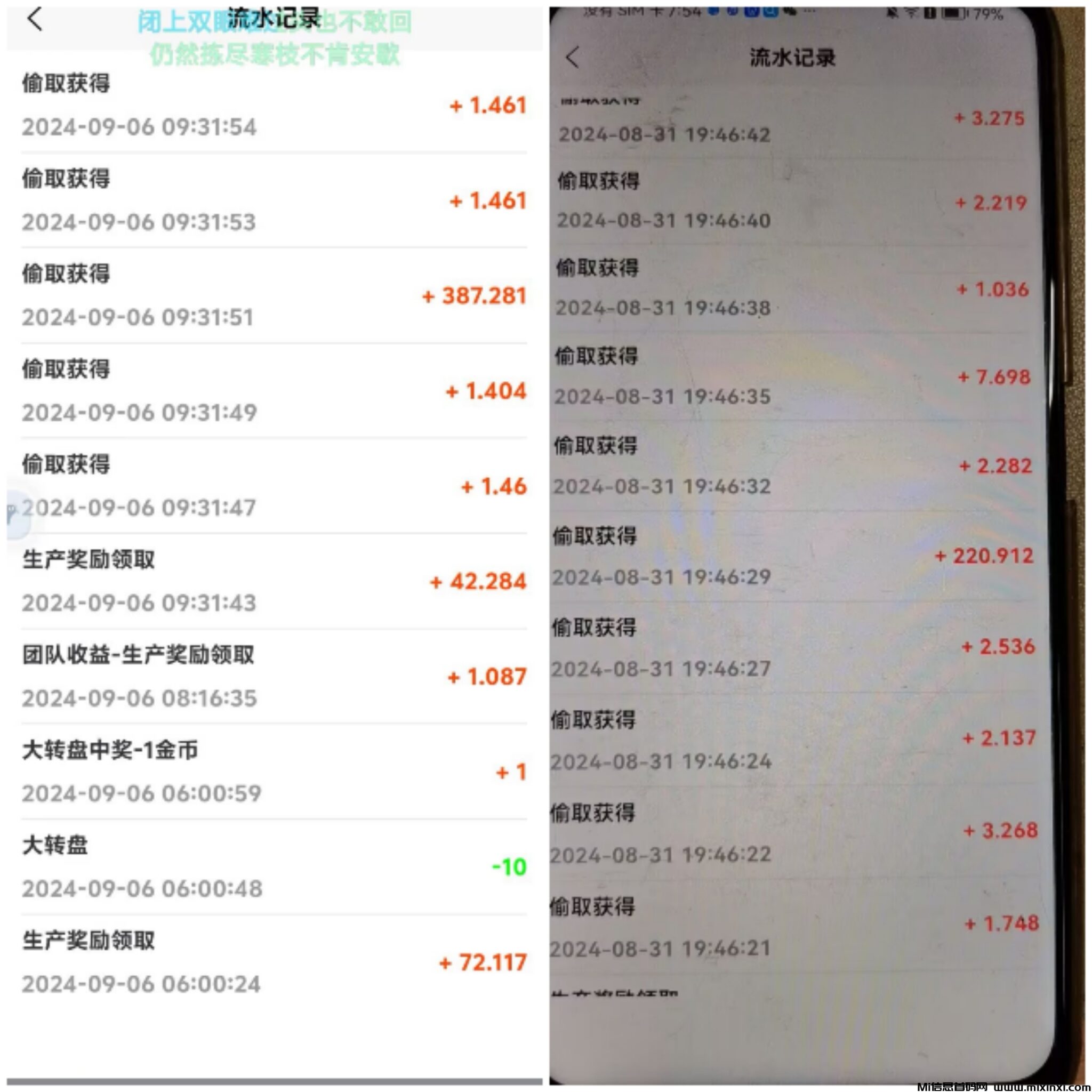 Collage_20240906_124628