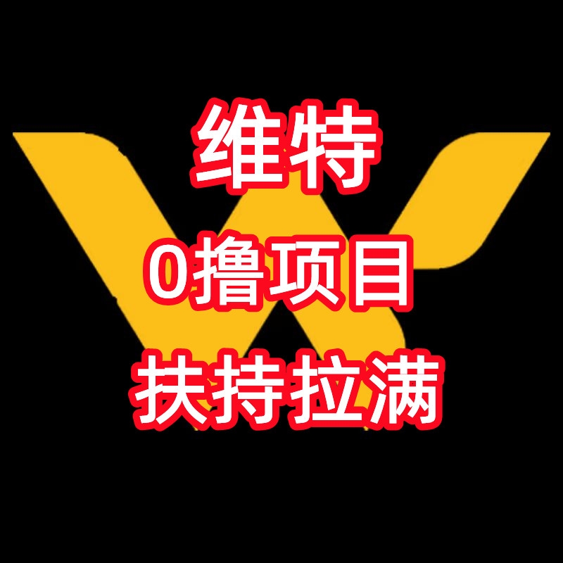 首码【维特】0撸项目，28号上线，团队扶持拉满-首码项目网