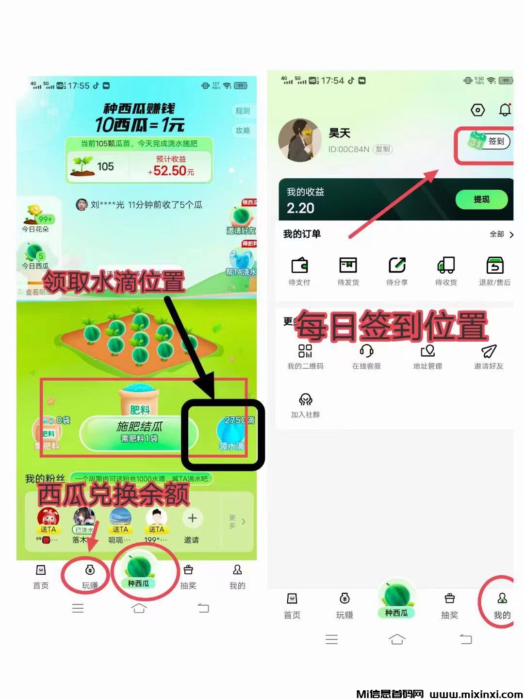 西皮购 ，一个瓜苗结5西瓜=0.5-首码项目网