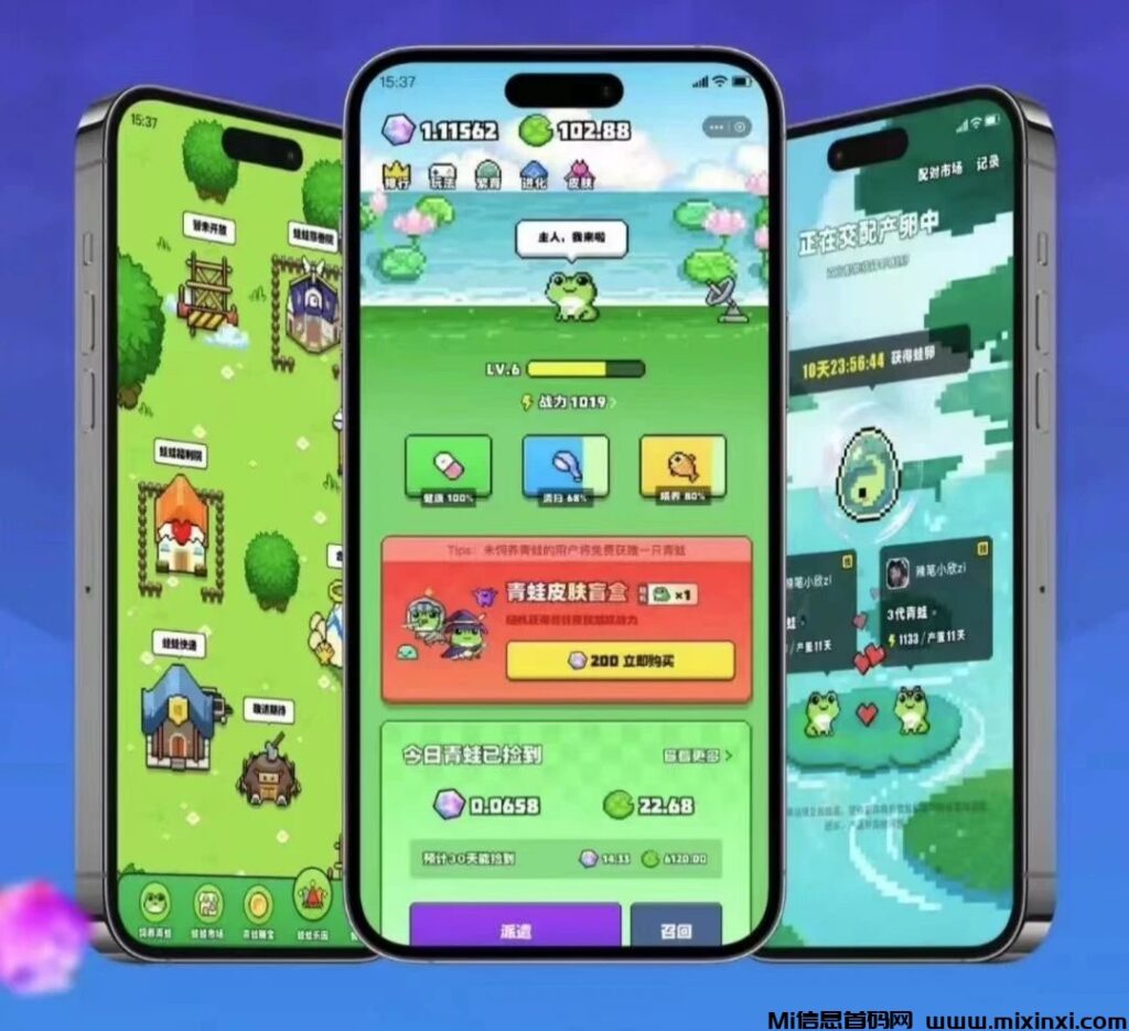 流浪蛙:公测已出,速度上车了-首码项目网