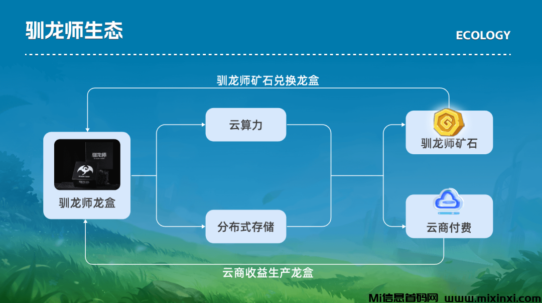 20241028416506565065