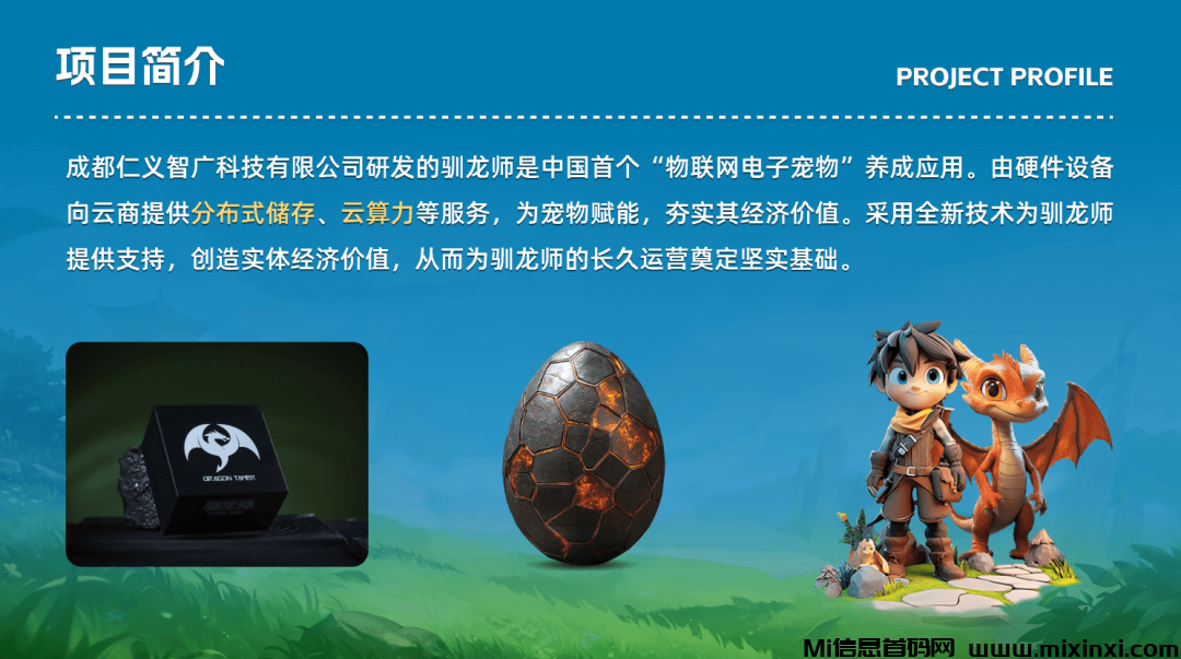 20241028416560565050