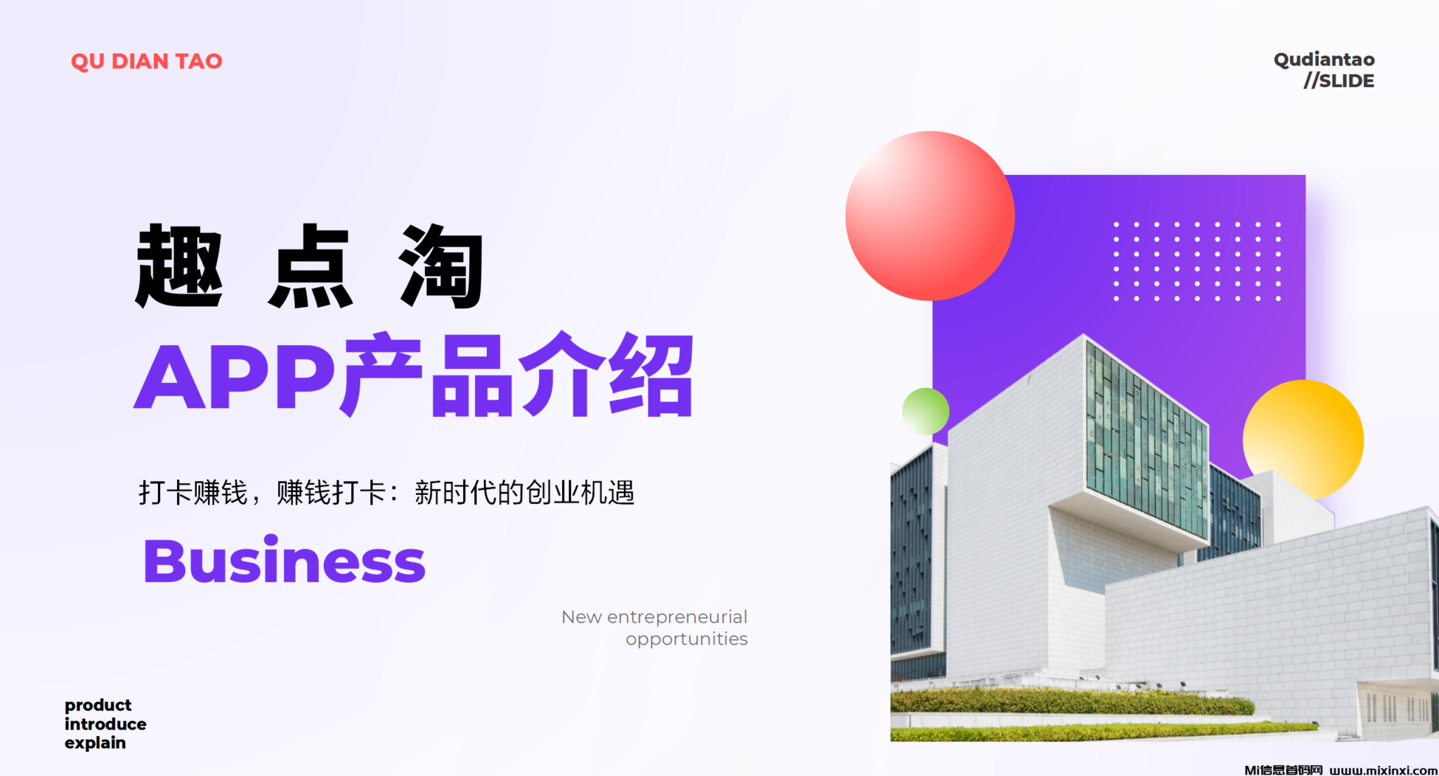 20241029500660656560