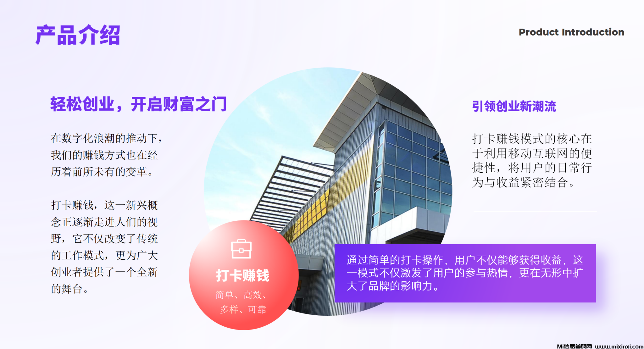 202410295065656565650