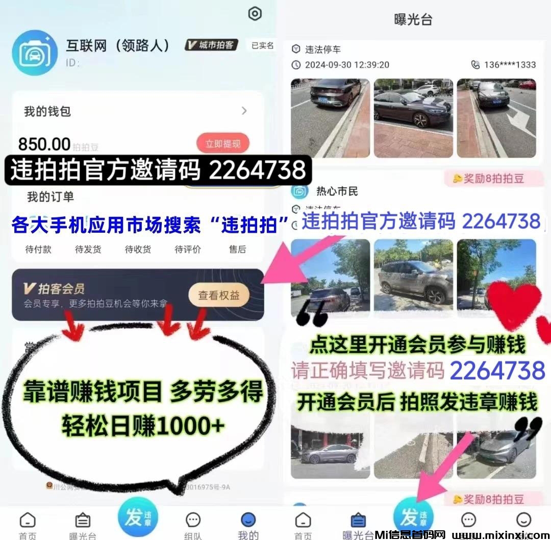 违拍拍深度解析：违拍拍app是什么-首码项目网
