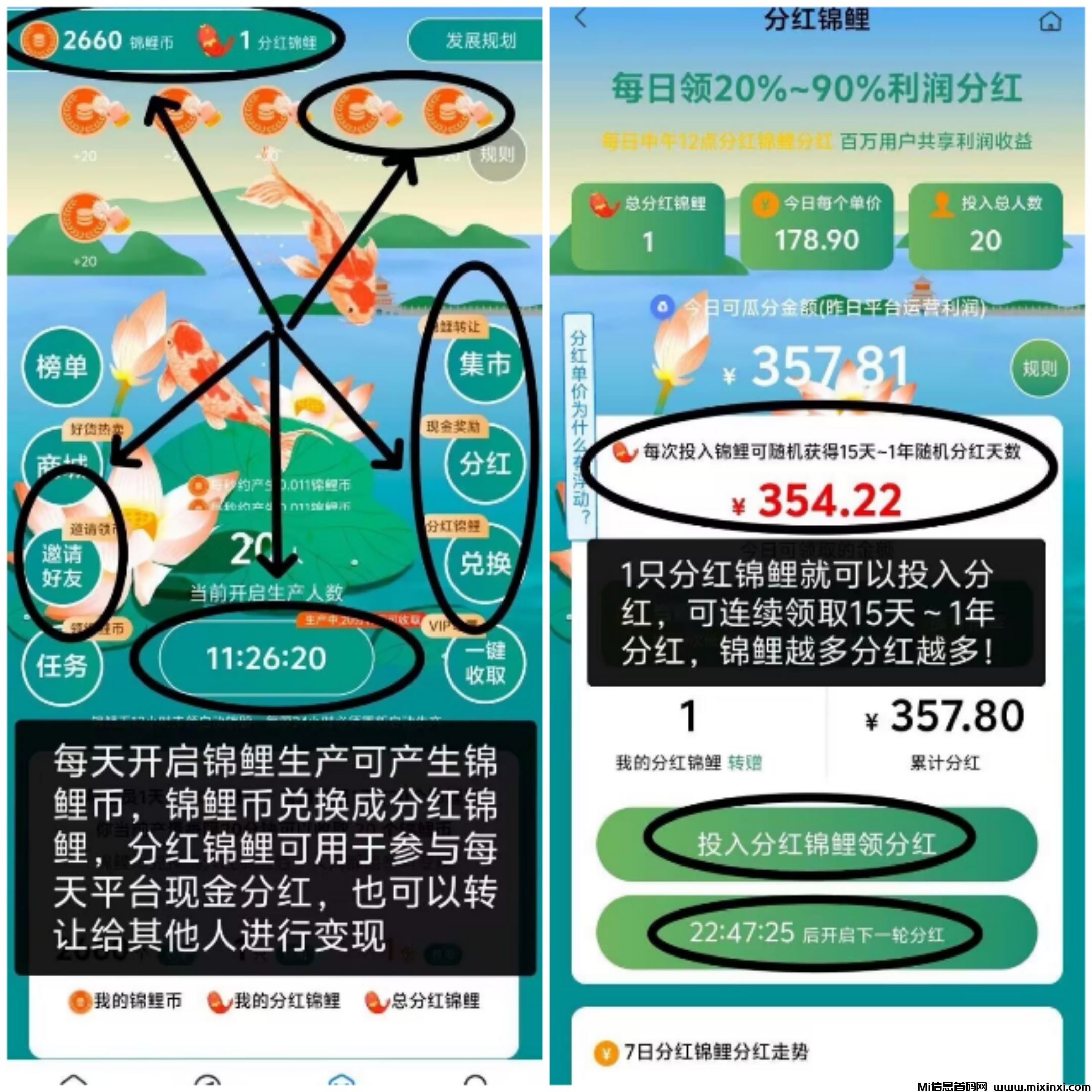 今日首码-零鲁无广告每天领分宏0.65米+0.11米-每天免费发布-首码项目网